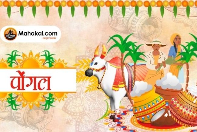 Pongal 2024: चार दिवसीय पर्व की पूरी जानकारी - महत्व, परंपराएं और विधि