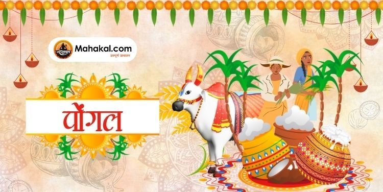 Pongal 2024: चार दिवसीय पर्व की पूरी जानकारी - महत्व, परंपराएं और विधि