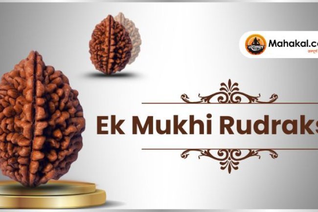 Ek Mukhi Rudraksha: The Divine Symbol of Lord Shiva’s Grace