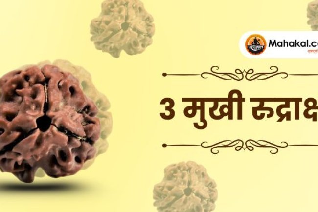 3 मुखी रुद्राक्ष: फायदे, नुकसान, पहनने की विधि और सावधानियां
