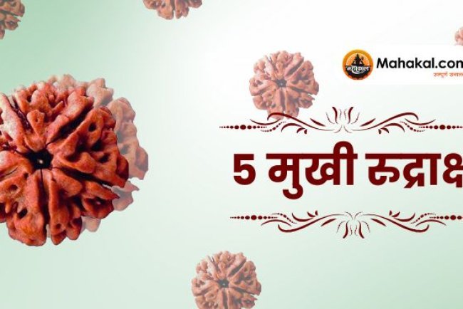 पंचमुखी (5 मुखी) रुद्राक्ष: फायदे, धारण विधि और स्वामी ग्रह