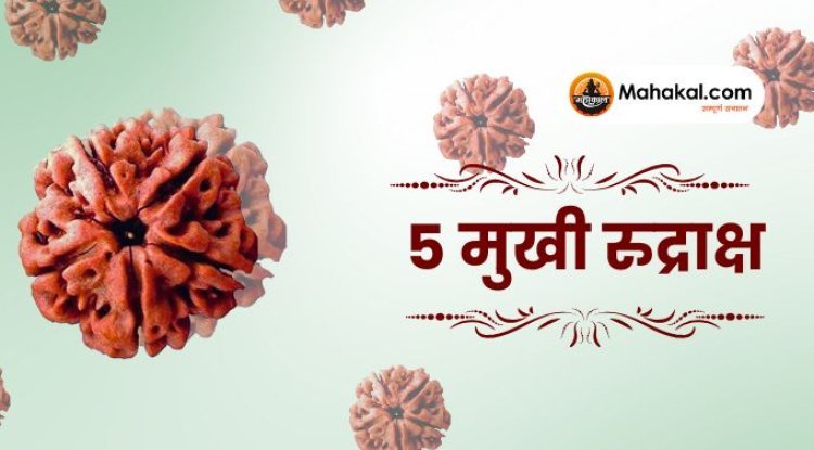 पंचमुखी (5 मुखी) रुद्राक्ष: फायदे, धारण विधि और स्वामी ग्रह