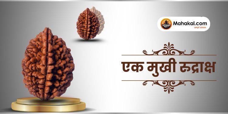 एक मुखी रुद्राक्ष: लाभ, महत्व, धारण विधि और सावधानियाँ