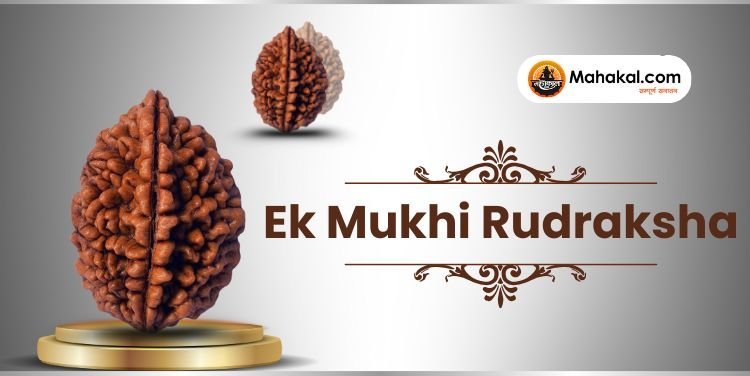 Ek Mukhi Rudraksha: The Divine Symbol of Lord Shiva’s Grace