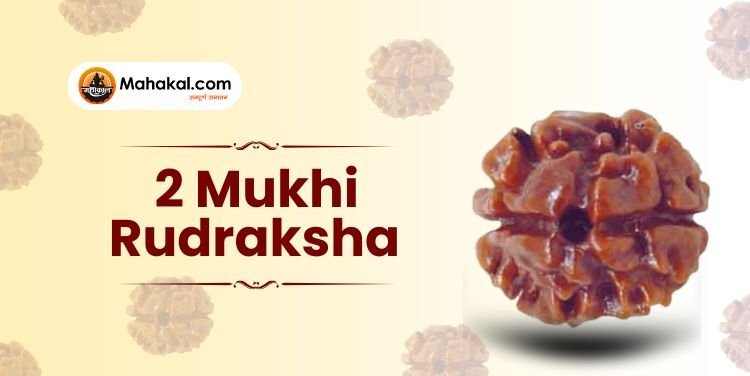2 Mukhi Rudraksha: Meaning, Benefits & How to Wear