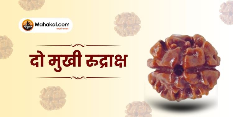 2 मुखी रुद्राक्ष: फायदे, नुकसान और पहनने की विधि