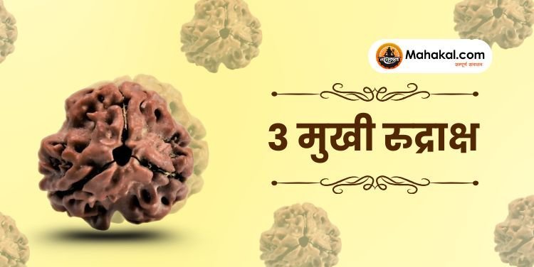 3 मुखी रुद्राक्ष: फायदे, नुकसान, पहनने की विधि और सावधानियां