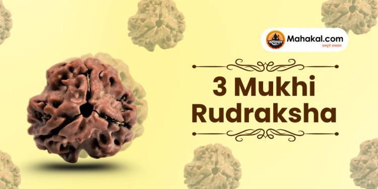 3 Mukhi Rudraksha: Who Should Wear & Why