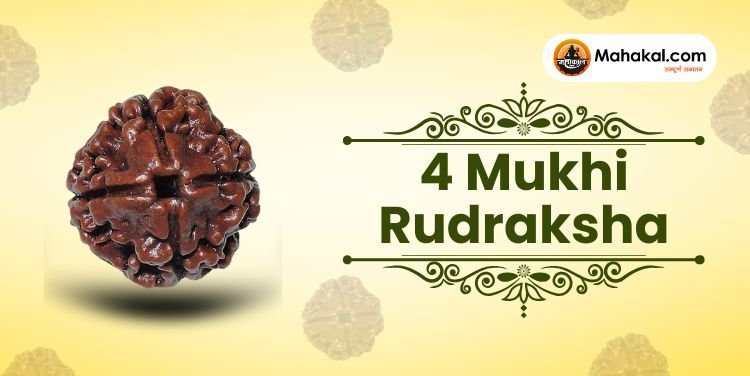 4 Mukhi Rudraksha: Benefits, How to Wear, and Rules
