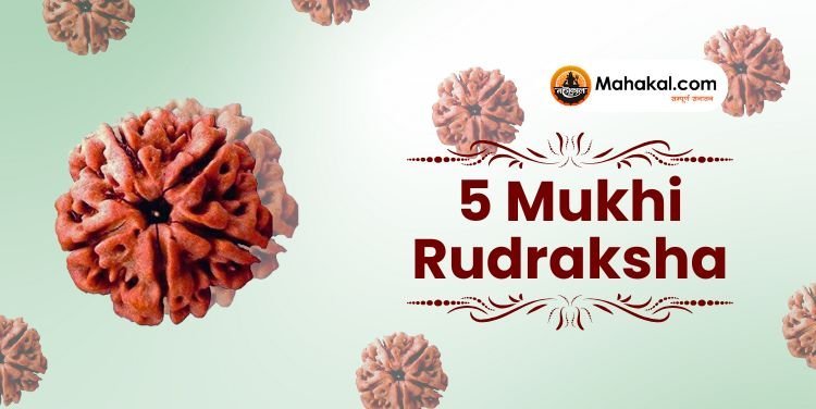 5 Mukhi Rudraksha: Benefits, Ruling Planet, and How to Wear It