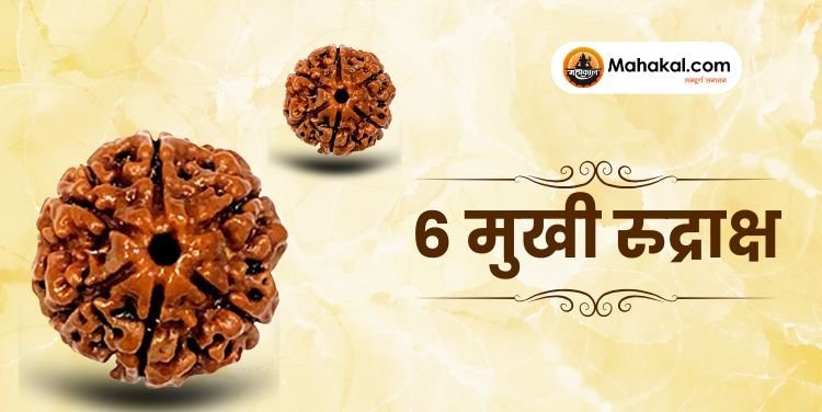 6 मुखी रुद्राक्ष: फायदे, नुकसान, पहनने की विधि और जरूरी बातें