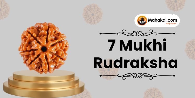 7 Mukhi Rudraksha for Wealth & Balance
