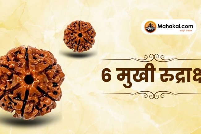 6 मुखी रुद्राक्ष: फायदे, नुकसान, पहनने की विधि और जरूरी बातें