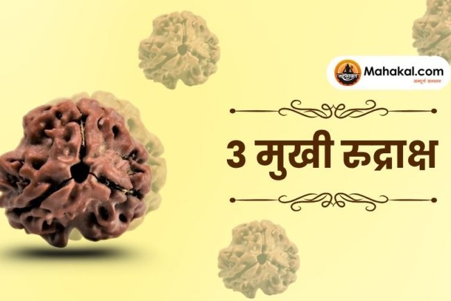 3 मुखी रुद्राक्ष: फायदे, नुकसान, पहनने की विधि और सावधानियां
