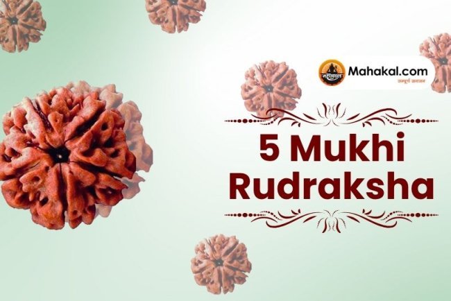 5 Mukhi Rudraksha: Benefits, Ruling Planet, and How to Wear It