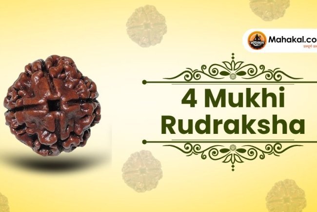 4 Mukhi Rudraksha: Benefits, How to Wear, and Rules