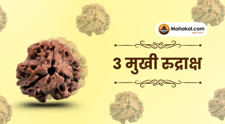 3 मुखी रुद्राक्ष: फायदे, नुकसान, पहनने की विधि और सावधानियां