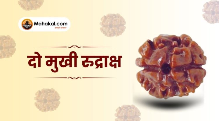 2 मुखी रुद्राक्ष: फायदे, नुकसान और पहनने की विधि