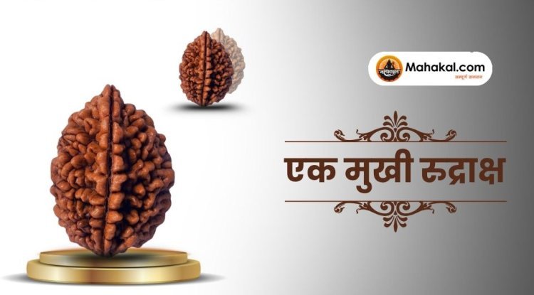 एक मुखी रुद्राक्ष: लाभ, महत्व, धारण विधि और सावधानियाँ