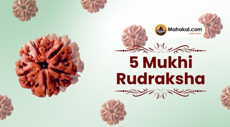 5 Mukhi Rudraksha: Benefits, Ruling Planet, and How to Wear It
