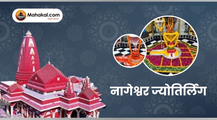 नागेश्वर ज्योतिर्लिंग: भगवान शिव के नागेश्वर रूप की अद्भुत कथा और महत्व