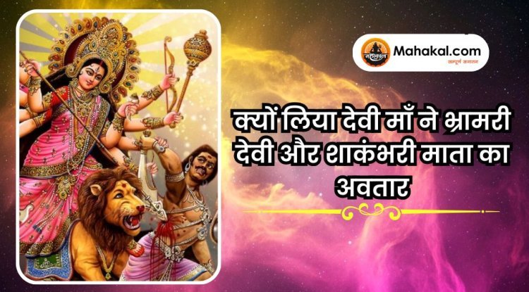 क्यों लिया देवी माँ ने भ्रामरी देवी और शाकंभरी माता का अवतार?