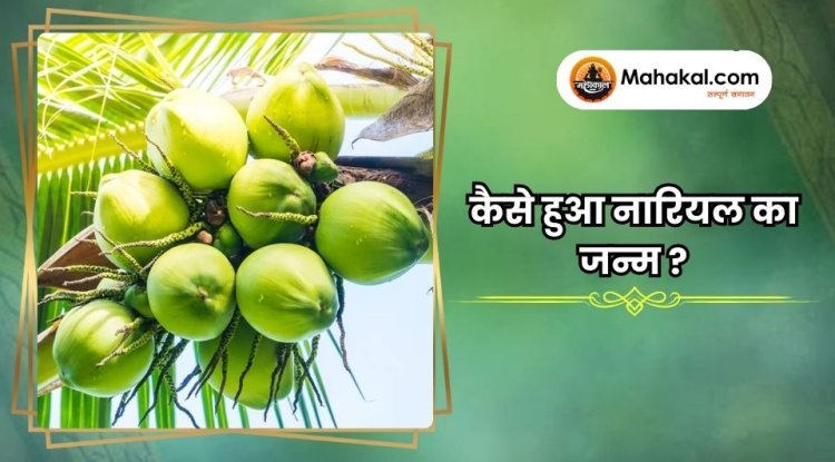 कैसे हुआ नारियल का जन्म?