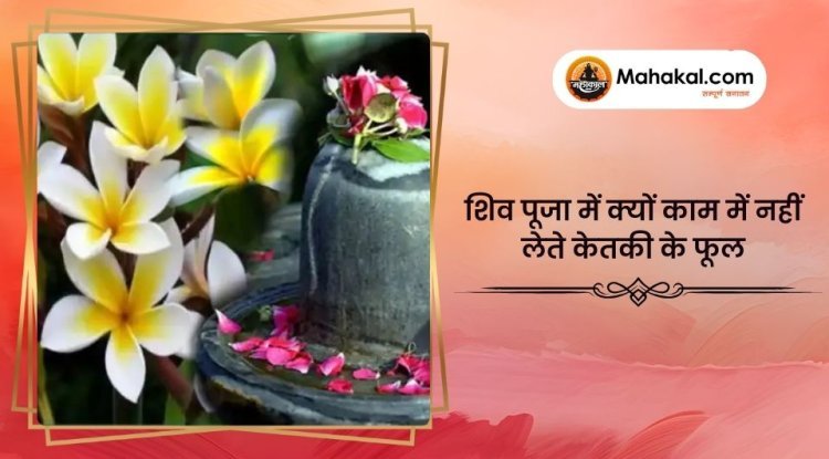 शिव पूजा में क्यों काम में नहीं लेते केतकी के फूल