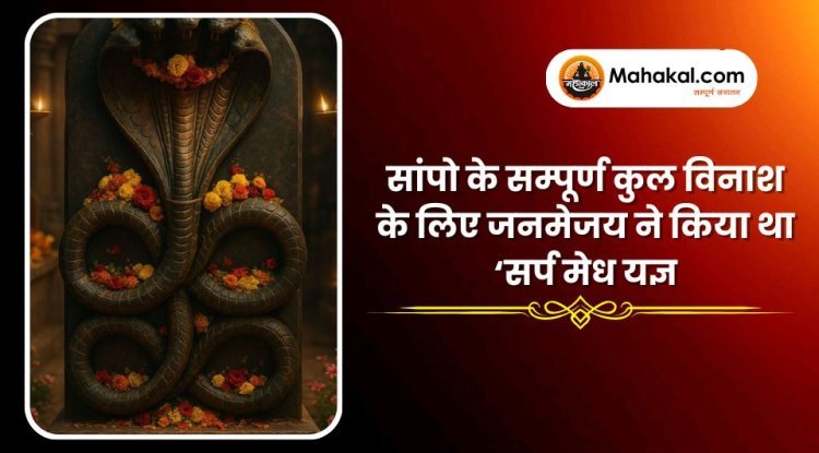 सांपो के सम्पूर्ण कुल विनाश के लिए जनमेजय ने किया था ‘सर्प मेध यज्ञ