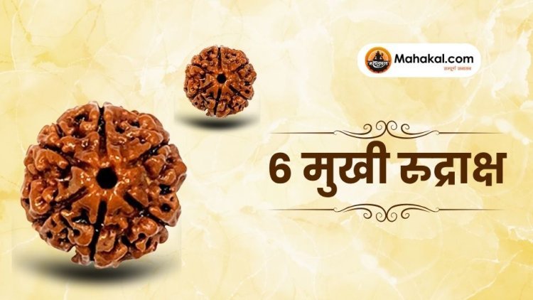 6 मुखी रुद्राक्ष: फायदे, नुकसान, पहनने की विधि और जरूरी बातें