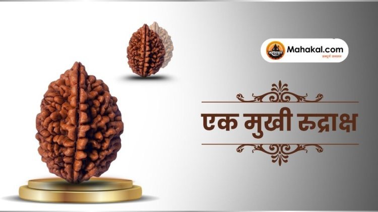 एक मुखी रुद्राक्ष: लाभ, महत्व, धारण विधि और सावधानियाँ
