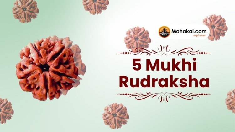 5 Mukhi Rudraksha: Benefits, Ruling Planet, and How to Wear It