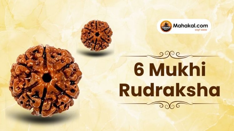 6 Mukhi Rudraksha: Benefits & Wearing Guide