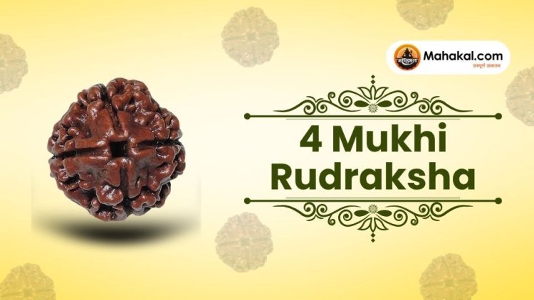 4 Mukhi Rudraksha: Benefits, How to Wear, and Rules