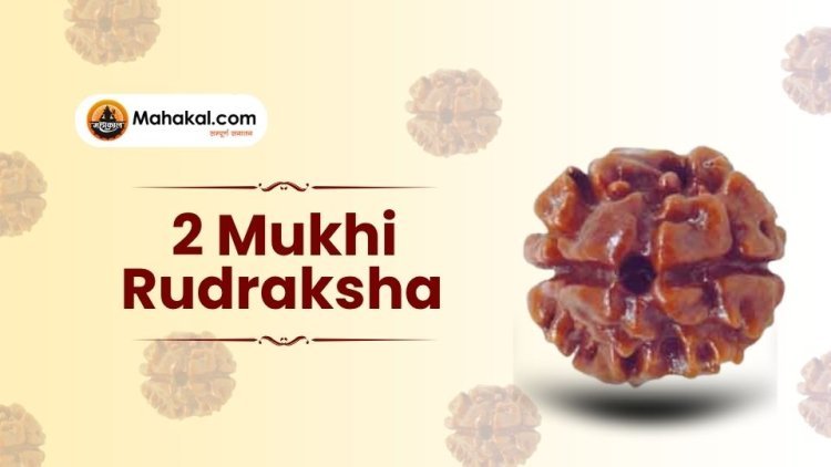 2 Mukhi Rudraksha: Meaning, Benefits & How to Wear