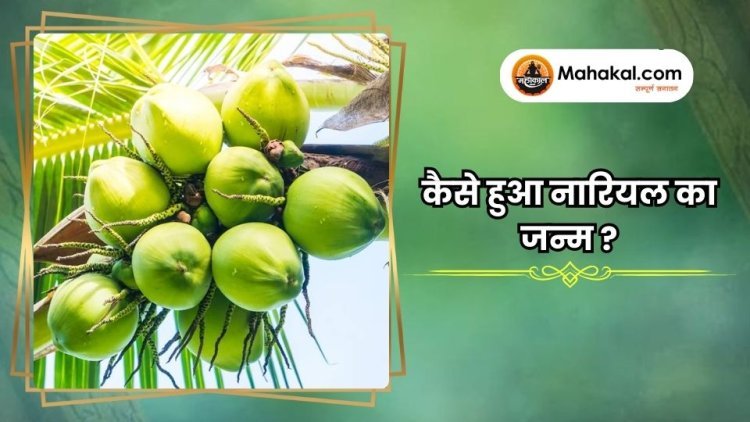 कैसे हुआ नारियल का जन्म?
