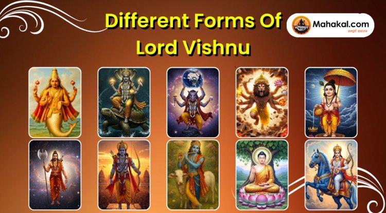 The Different Forms of Lord Vishnu and Their Blessings