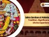 Sehra Darshan at Mahakaleshwar : Tradition, Significance, and Divine Experience