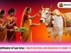 The Significance of Gau Seva: Cow Protection and Donation in Hindu Tradition