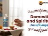 Domestic and Spiritual Uses of Gangajal
