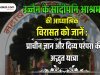 उज्जैन के सांदीपनि आश्रम की आध्यात्मिक विरासत को जानें : प्राचीन ज्ञान और दिव्य परंपरा की अद्भुत यात्रा