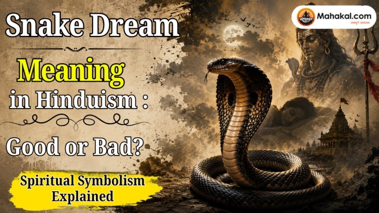 Snake Dream Meaning in Hinduism : Good or Bad? Spiritual Symbolism Explained