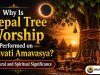 Why Is Peepal Tree Worship Performed on Somvati Amavasya? Scriptural and Spiritual Significance
