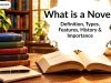 What is a Novel? Definition, Types, Features, History & Importance