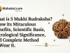 What is 5 Mukhi Rudraksha? Discover Its Miraculous Benefits, Scientific Basis, Astrological Significance, and Complete Wearing Rituals