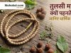 तुलसी माला क्यों पहनते हैं? जानिए धार्मिक महत्व, पहनने के नियम, मान्यताएं और आध्यात्मिक लाभ!