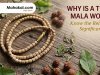 Why Do Hindus Wear Tulsi Mala? Discover Its Religious Significance, Rules for Wearing, Traditional Beliefs and Spiritual Benefits!