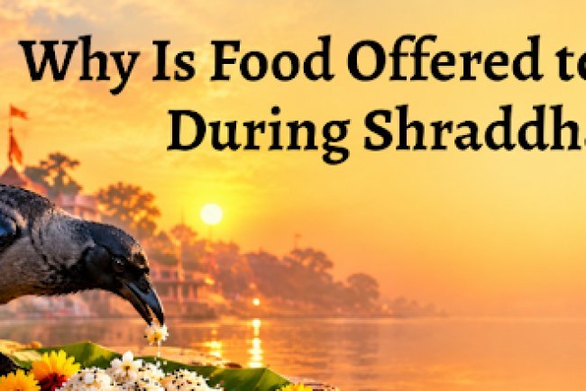 Why Is Food Offered to Crows During Shraddha? Know the Religious Belief Behind This Tradition