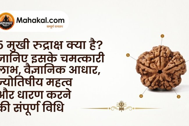 5 मुखी रुद्राक्ष क्या है? जानिए इसके चमत्कारी लाभ, वैज्ञानिक आधार, ज्योतिषीय महत्व और धारण करने की संपूर्ण विधि