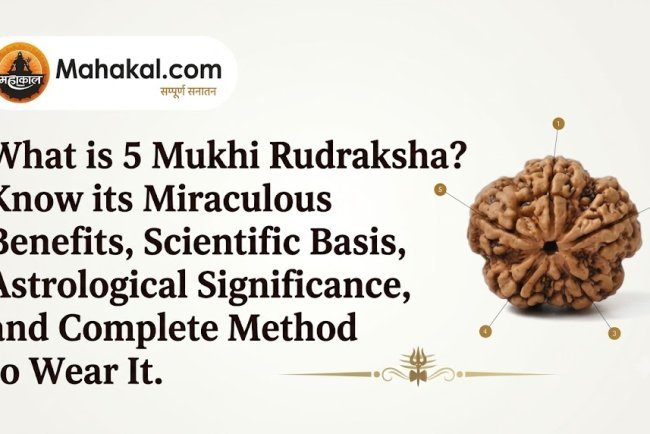 What is 5 Mukhi Rudraksha? Discover Its Miraculous Benefits, Scientific Basis, Astrological Significance, and Complete Wearing Rituals